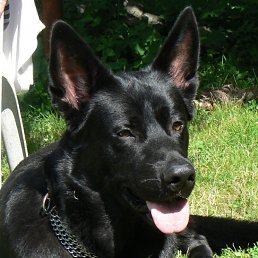 ���� ������� ��������, ����, 52 ���� - ��������� 20 �������� 2012