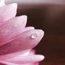  Lisfm (),  -  2  2009   