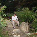 ���� �����, �������, 48 ��� - ��������� 6 ������ 2013 � ������ ���� ����������