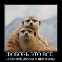 ���� Angel, ���������, 39 ��� - ��������� 3 ������ 2010 � ������ �...�