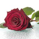 ���� �� ������� ���� �� ���� �����,����������, �� �������������! �� ������� �;�