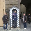   ( ), , 64  -  12  2012    2012