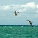 ���� ����������, �����-���������, 45 ��� - ��������� 8 ������� 2011 � ������ �����