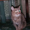 ���� �����, ������������, 23 ���� - ��������� 28 �������� 2012 � ������ �������