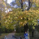  Alex, -, 38  -  2  2013    