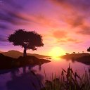 ���� �����, ����� - ��������� 24 ������ 2010 � ������ ��������