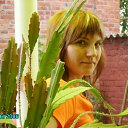 ���� ����������, ���������, 45 ��� - ��������� 20 ������ 2010 � ������ ���� ����������