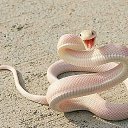 ������ ��� ? �� ������� ���� ����������