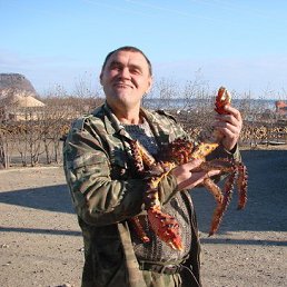 ������, �����������-��-�����, 65 ���