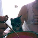 ���� �, �������� - ��������� 6 ���� 2011 � ������ ���� ��������