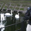 ���� �������, ��������, 41 ��� - ��������� 23 ���� 2013