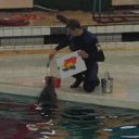 ���� ����, �����-���������, 52 ���� - ��������� 15 ������ 2013 � ������ ���� ����������