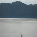 ���� �����, �������, 42 ���� - ��������� 17 �������� 2011 � ������ �������