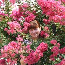  , , 49  -  9  2011    2011