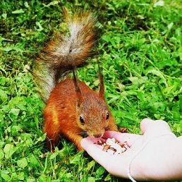 ���� �����, ������, 49 ��� - ��������� 3 ������� 2010