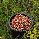 ���� �������, ������, 69 ��� - ��������� 6 ��� 2012