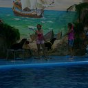   ( -        ,  -  16  2010      