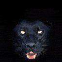 ���� �����, �����������, 45 ��� - ��������� 23 ������� 2010