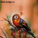 ���� �������, ���������, 64 ���� - ��������� 29 ������ 2010 � ������ �BodyArt�