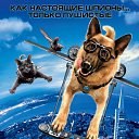 ���� "@����", �����-���������, 25 ��� - ��������� 26 ������� 2010 � ������ �Catc &amp; Docs�