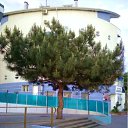 ���� �������, ������, 55 ��� - ��������� 11 ���� 2011 � ������ �� �����