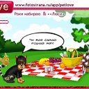  , , 56  -  2  2011   PetLove