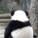 ���� ���, �������, 45 ��� - ��������� 16 ������� 2010 � ������ ���