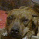 ��� ������ �� ������� �������