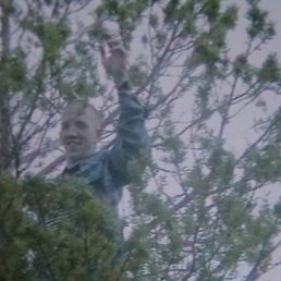 ���� ���������, �����-����, 44 ���� - ��������� 14 ������ 2011