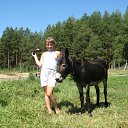 ������� � ������ �� ������� ���� ����������