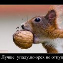 ���� �������, ������ - ��������� 12 ���� 2012 � ������ �������