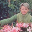 ���� Many��, �����������, 48 ��� - ��������� 11 ������ 2012 � ������ ���� ����������