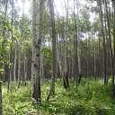 ���� ���������, �������������, 55 ��� - ��������� 7 ������� 2012 � ������ �ghbhjlf�