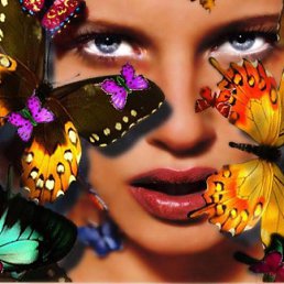 ���� ����, �������, 43 ���� - ��������� 10 ������� 2010