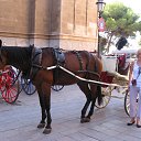 ���� �����, ������, 58 ��� - ��������� 3 ������� 2012 � ������ ���� �������� ����� �� �������...!!!�