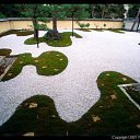 ���� Amindomano, ����� - ��������� 22 ������� 2010 � ������ �"���� ������" � ������