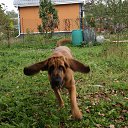 ���� �����, ������, 57 ��� - ��������� 10 ���� 2013 � ������ ����� ��� ������������