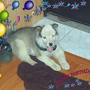 ���� ����� �������, ���������, 58 ��� - ��������� 13 �������� 2012 � ������ �������