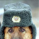 ���� ����, ������������, 61 ��� - ��������� 13 �������� 2011 � ������ �������