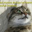 ���� Juju, �����-���������, 43 ���� - ��������� 13 ������ 2010 � ������ ������ �����