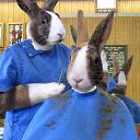 ���� �����, ����-���, 30 ��� - ��������� 15 ��� 2009 � ������ �������