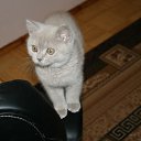 ���� �����, ������, 52 ���� - ��������� 20 ������� 2012 � ������ ���� ����!!�