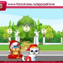  , , 44  -  16  2011   PetLove