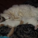 ���� &bull;&deg; ������ &deg;&bull;, ������ - ��������� 8 ������ 2013 � ������ ���� ����������