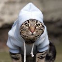 ���� ���������, ����������, 35 ��� - ��������� 15 ������� 2012 � ������ ���� ����������