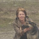 ���� �������, �����-���������, 52 ���� - ��������� 31 ������� 2010 � ������ ���� ����������