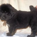 ���� ������, �����-���������, 65 ��� - ��������� 5 ������ 2013 � ������ ���������� ��������