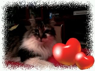 ���� ���� �����, �����-���������, 53 ���� - ��������� 21 ��� 2012