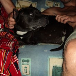 ���� Ը���, ������������, 45 ��� - ��������� 14 ������� 2011