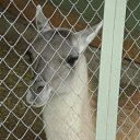 ���� ����, ������, 24 ���� - ��������� 10 ������� 2011 � ������ ������ � ��������� �������.�